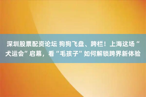 深圳股票配资论坛 狗狗飞盘、跨栏！上海这场“犬运会”启幕，看“毛孩子”如何解锁跨界新体验
