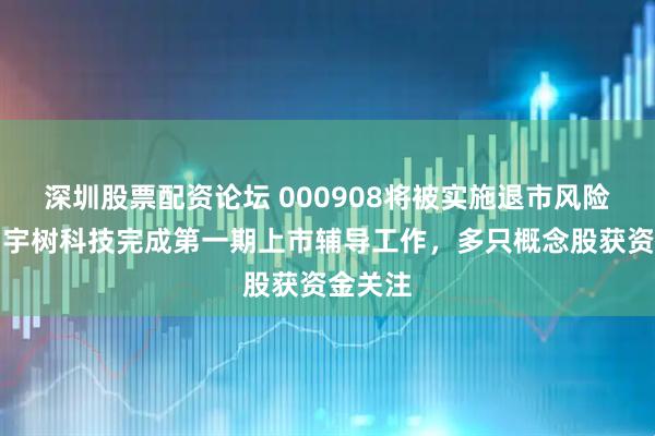 深圳股票配资论坛 000908将被实施退市风险警示！宇树科技完成第一期上市辅导工作，多只概念股获资金关注